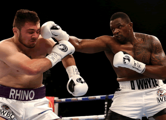 Dillian Whyte wins WBC International Heavyweight Title Whyte vs Allen.